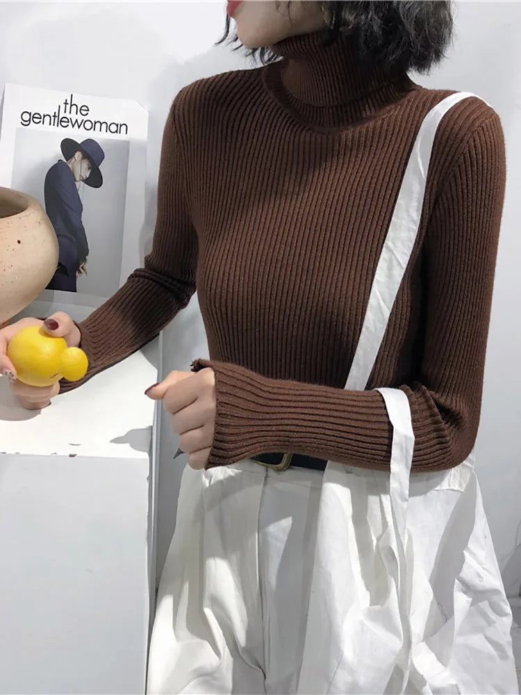 Suéter Gola Alta - Estilo e Conforto Unidos